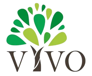 Vivo logo
