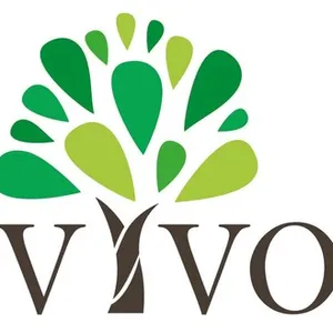 Vivo Logo